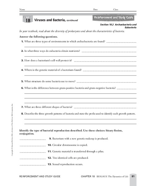 Viruses and Bacteria Worksheet
