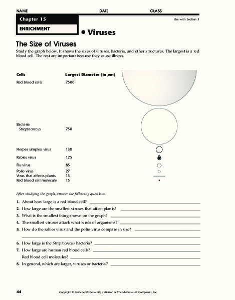 Viruses Worksheet
