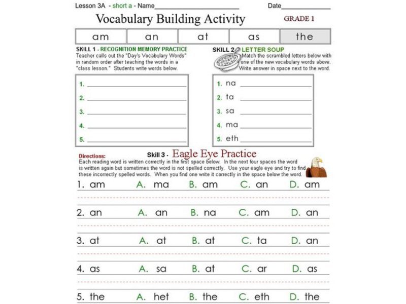 Vocabulary Building Activity Worksheet