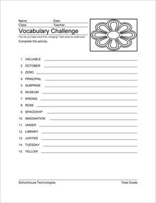 Vocabulary Challenge Worksheet