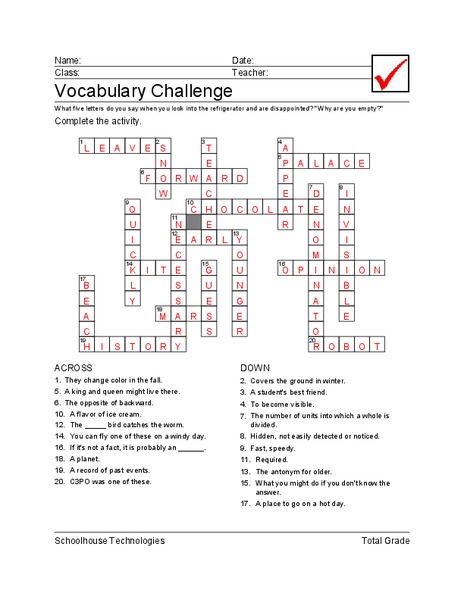 Vocabulary Challenge Worksheet