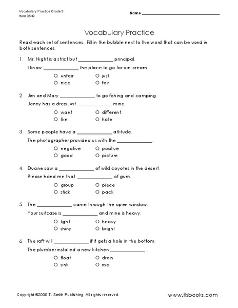 Vocabulary Practice Worksheet