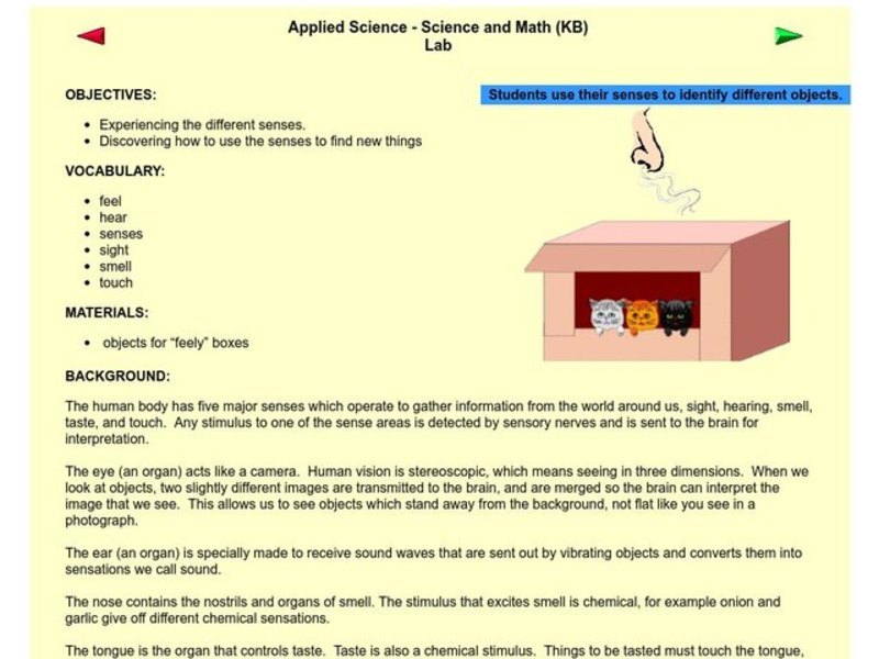 Applied Science - Science and Math Lab Lesson Plan