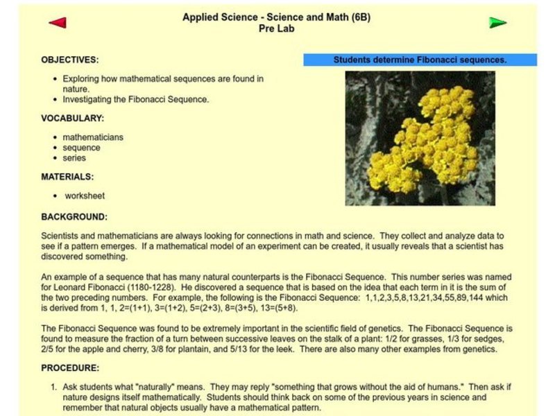 Applied Science - Science and Math Pre Lab Lesson Plan