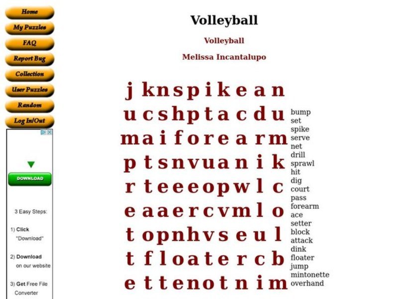 Volleyball Worksheet