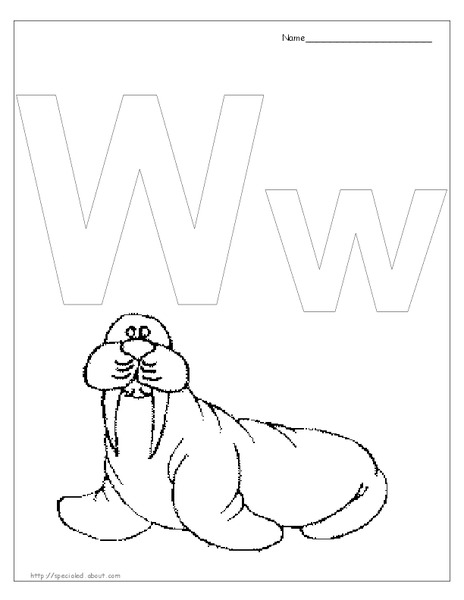 W is for Walrus Worksheet