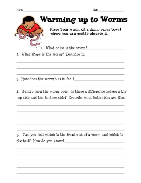 Warming Up to Worms Lesson Plan