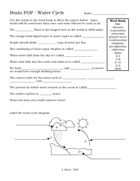 Water Cycle Worksheet