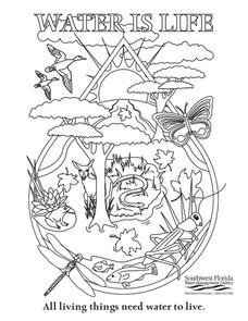 Water Is Life Worksheet