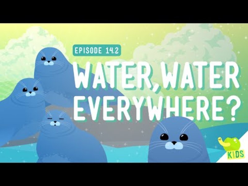 Water Water Everywhere Instructional Video