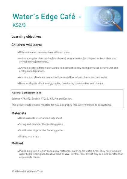 Water's Edge Cafe Lesson Plan