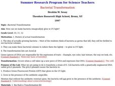 Bacterial Transformation Lesson Plan