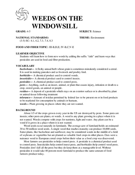 WEEDS ON THE WINDOWSILL Lesson Plan