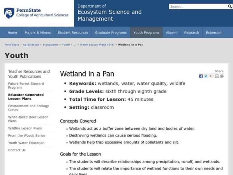 Wetland in a Pan Lesson Plan