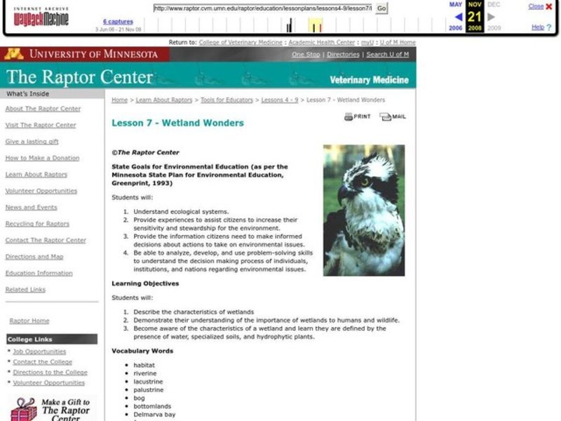 Wetland Wonders Lesson Plan