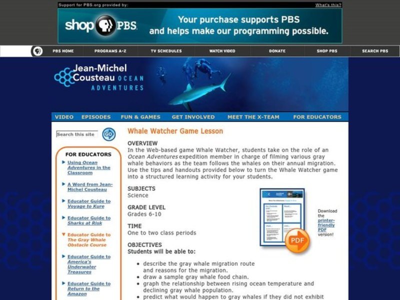 Whale Watcher Game Lesson Lesson Plan