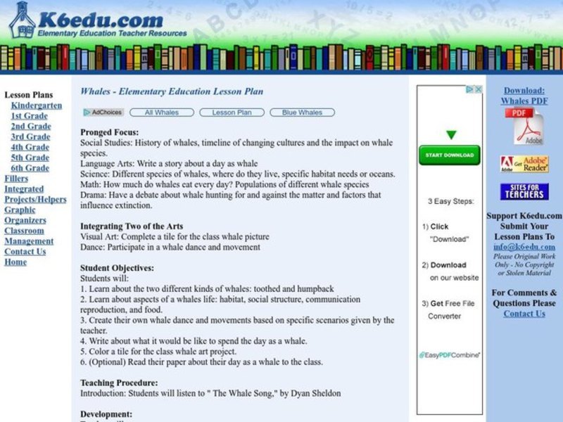 Whales Lesson Plan