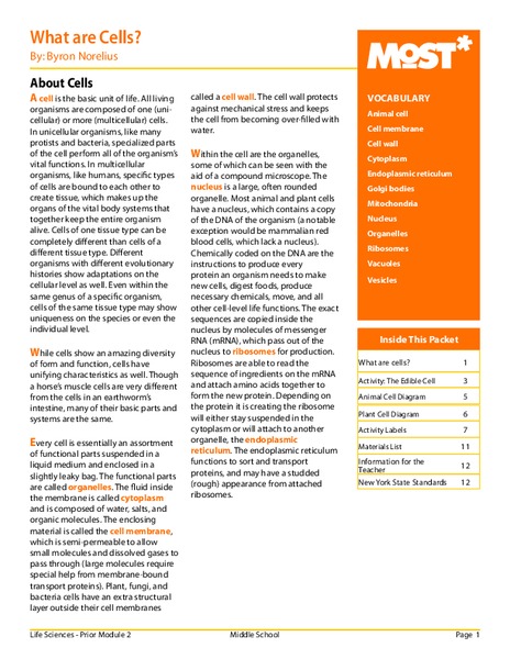 What Are Cells? Activity