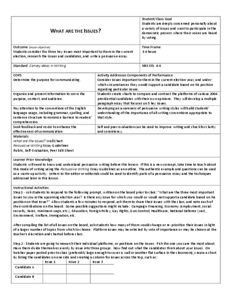 What Are the Issues? Lesson Plan