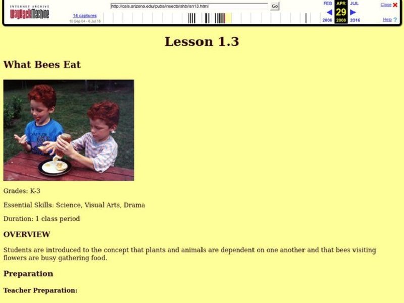 What Bees Eat Lesson Plan