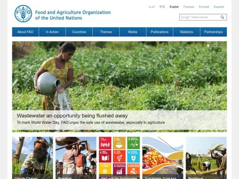 What can we do to help end hunger? Lesson Plan