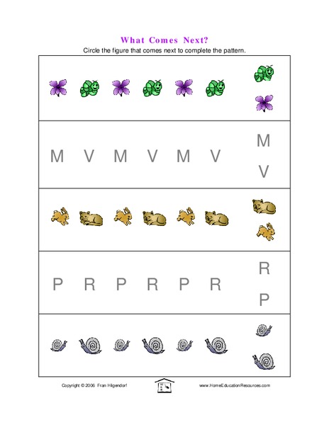 What Comes Next? Lesson Plan
