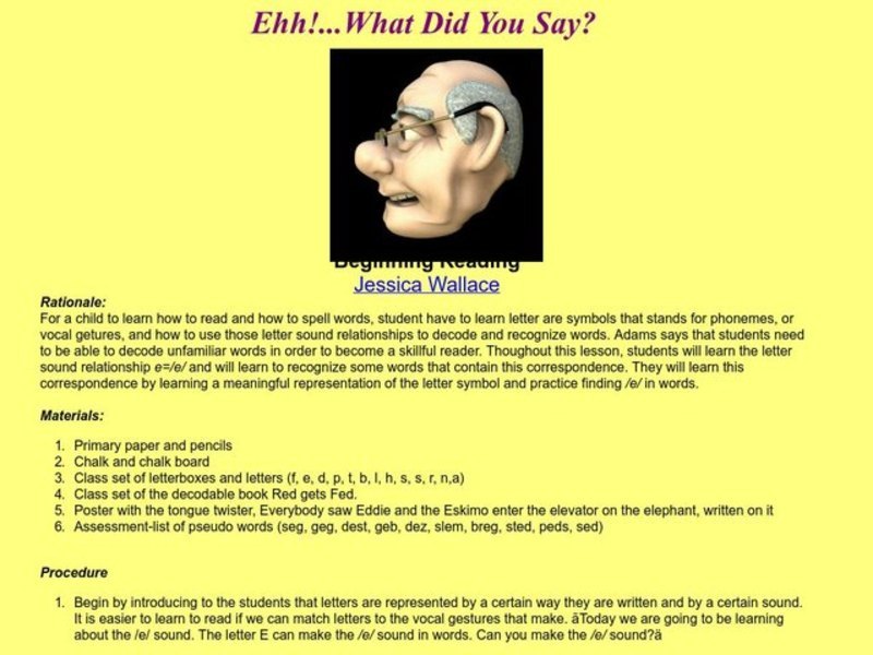What Did You Say? Lesson Plan