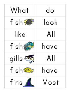 What Do Fish Look Like? Organizer