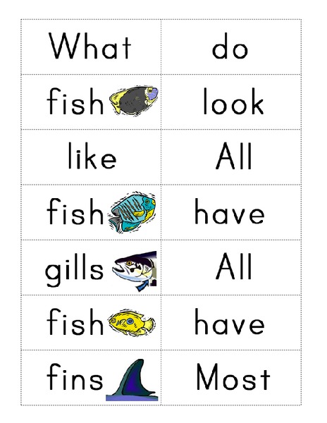 What Do Fish Look Like? Organizer