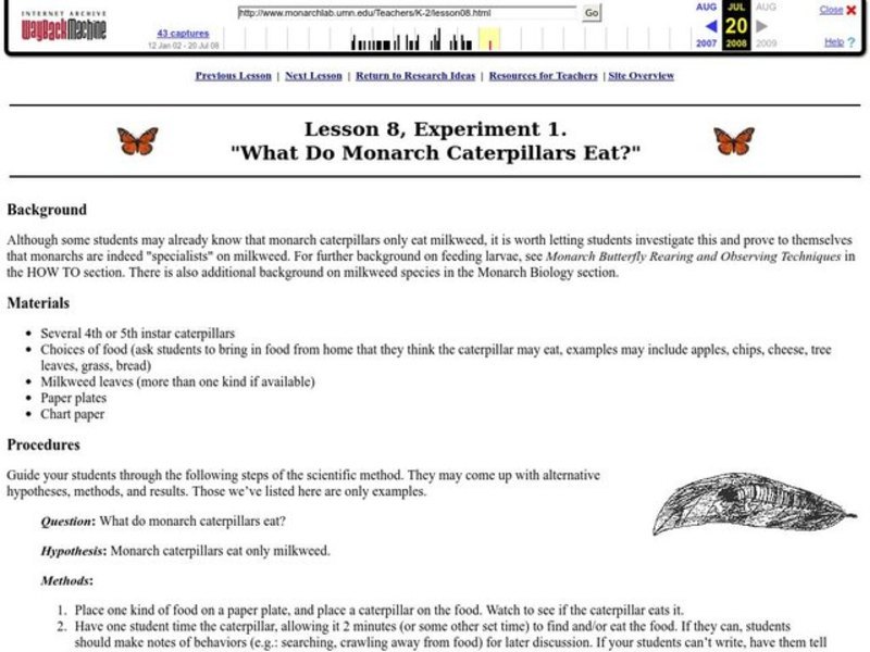 What Do Monarch Caterpillars Eat? Lesson Plan