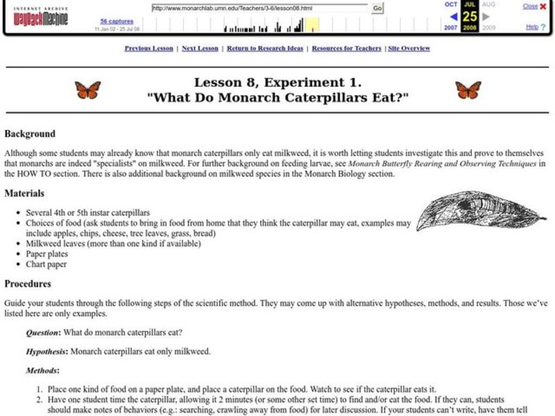 What Do Monarch Caterpillars Eat? Lesson Plan