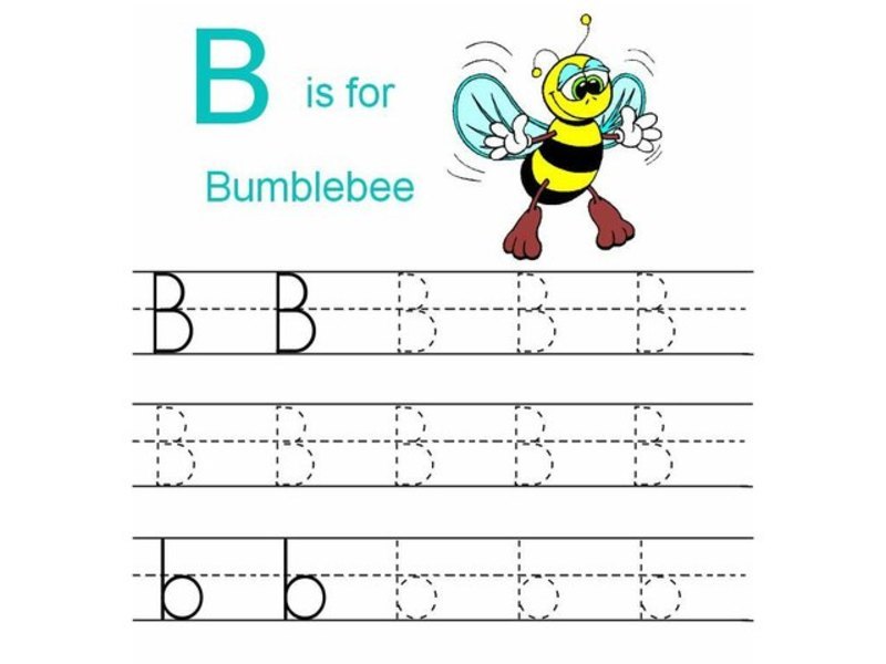 B IS FOR BUMBLEBEE Worksheet