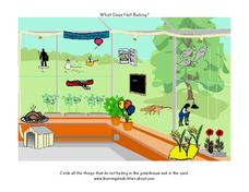 What Does Not Belong? Worksheet