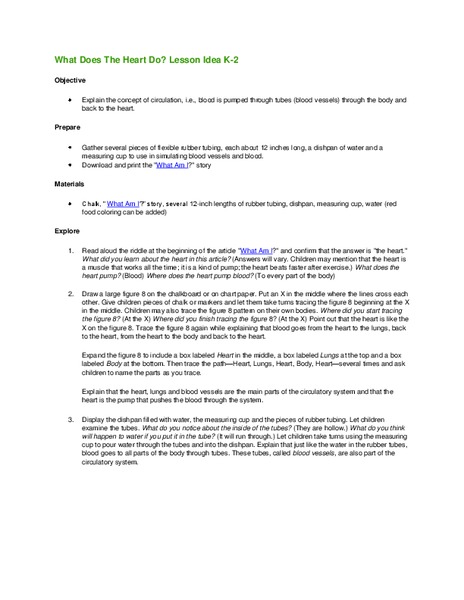 What Does The Heart Do? Lesson Plan