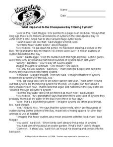 What Happened To The Chesapeake Bay Filtering System? Worksheet