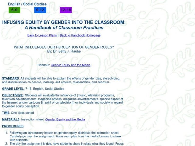 WHAT INFLUENCES OUR PERCEPTION OF GENDER ROLES? Lesson Plan