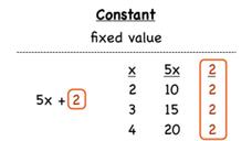 What is a Constant? Instructional Video