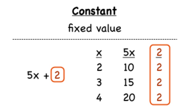 What is a Constant? Instructional Video