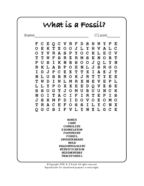 What is a Fossil? Worksheet