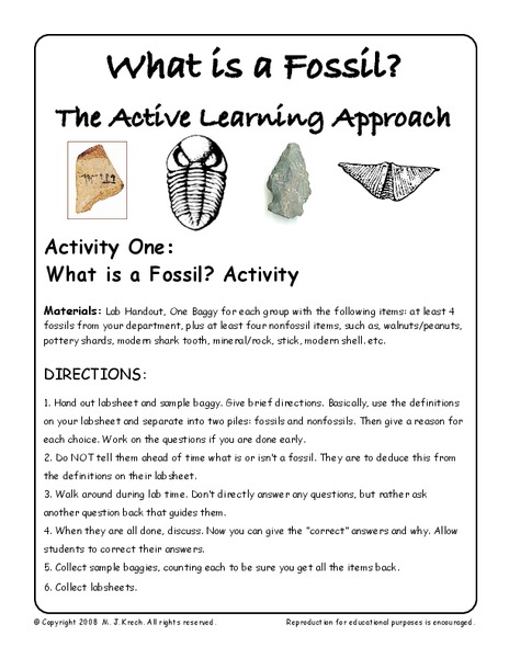 What is a Fossil? Worksheet