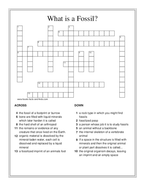 What Is A Fossil? Worksheet