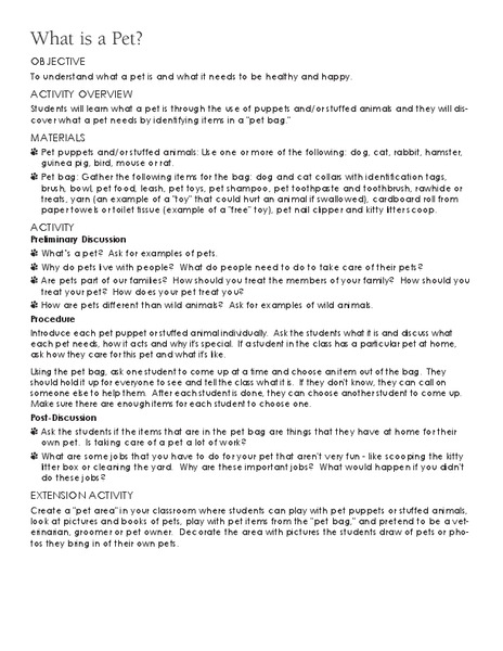 What is a Pet? Lesson Plan