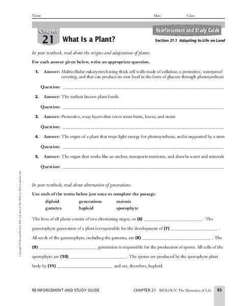 What is a Plant? Worksheet