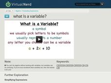 What is a Variable? Instructional Video