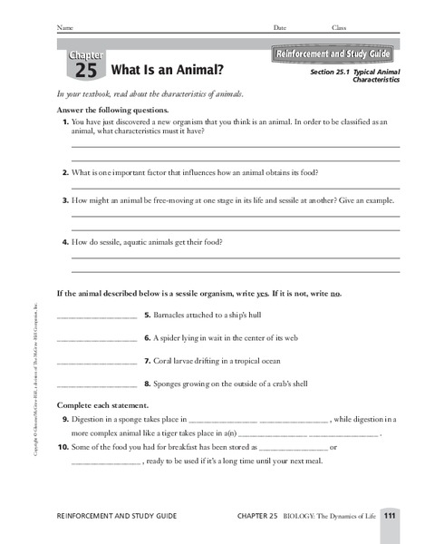 What is an Animal? Worksheet