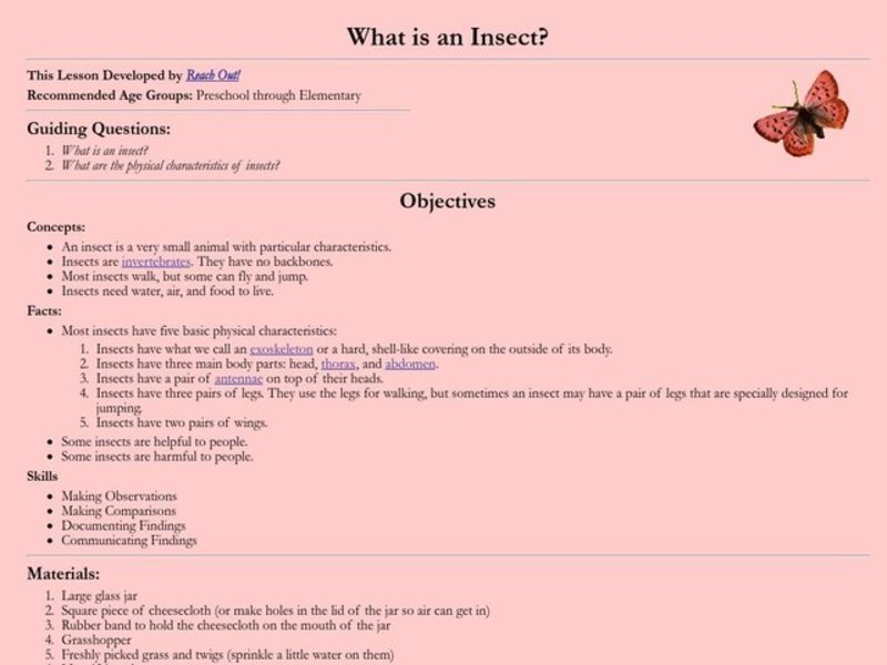 What is an Insect? Lesson Plan