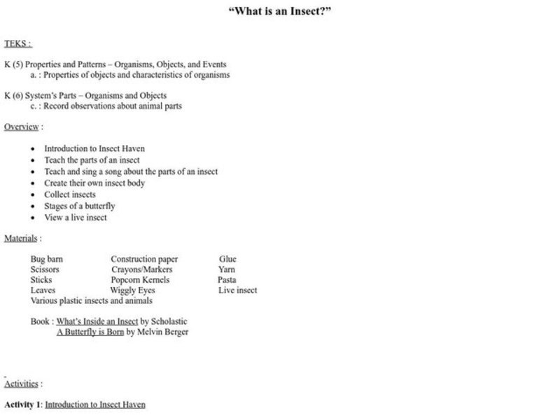 What is an Insect? Lesson Plan