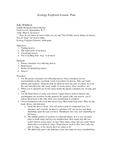 What Is An Insect? Lesson Plan
