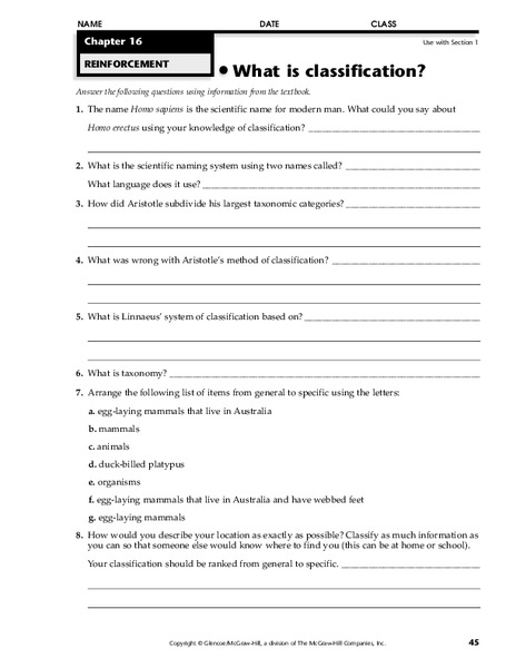 What is Classification? Worksheet