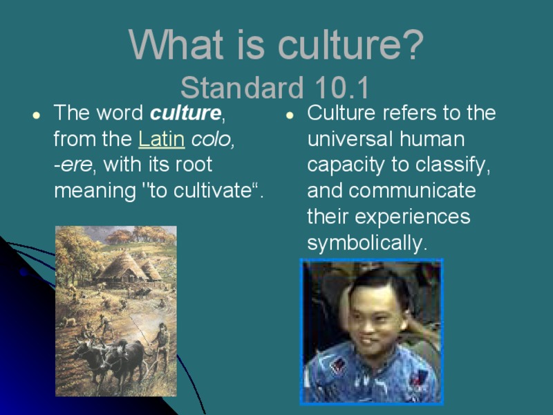 What is culture? PPT